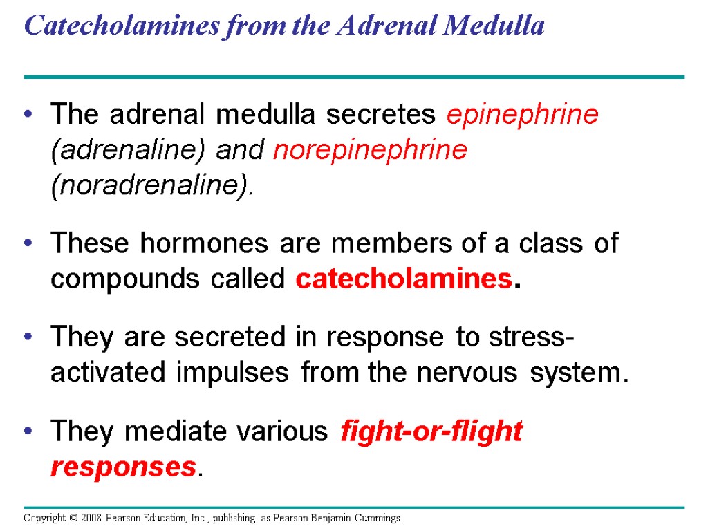 Catecholamines from the Adrenal Medulla The adrenal medulla secretes epinephrine (adrenaline) and norepinephrine (noradrenaline).